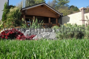 design_landscape (31)